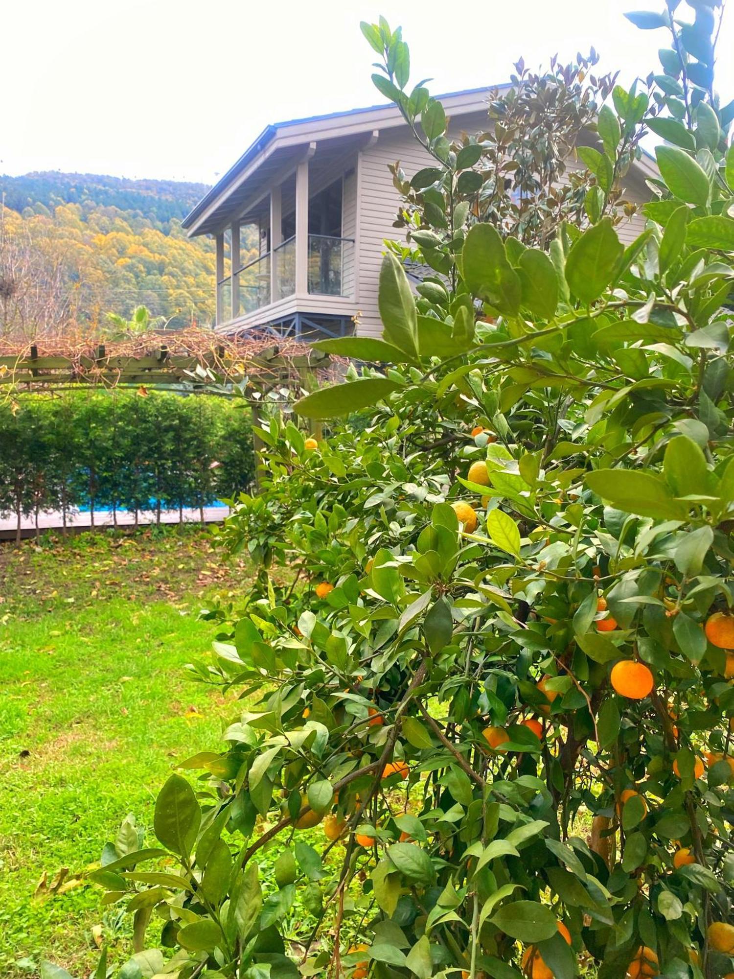 Villa Kirkpinar Sapanca Esterno foto