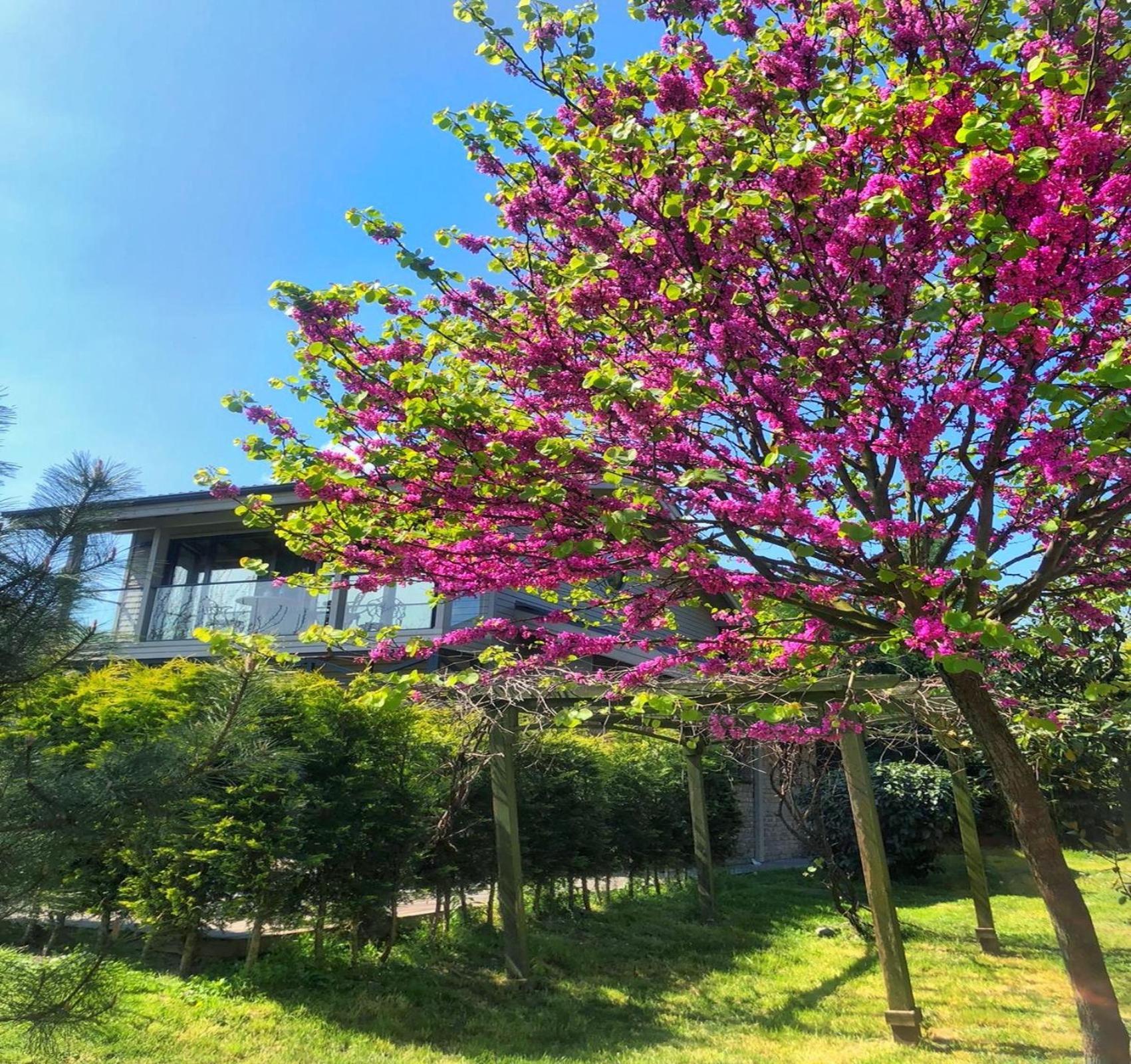 Villa Kirkpinar Sapanca Esterno foto